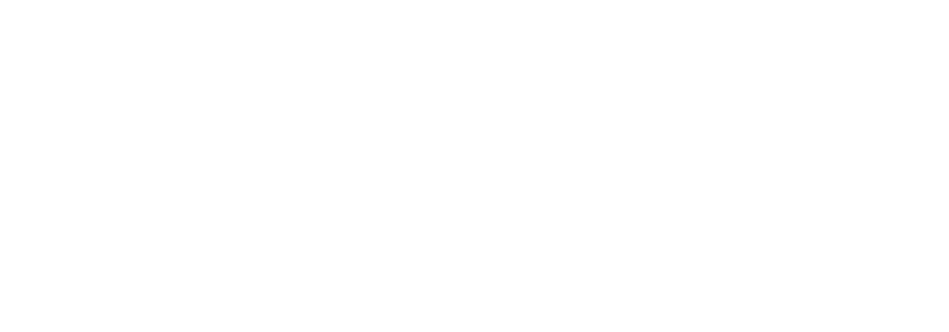 Özkol v2